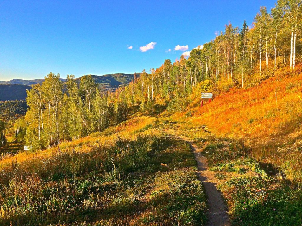 Fall Single Track in Steamboat